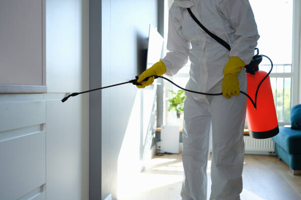 Connerton, FL Mold Remediation Company